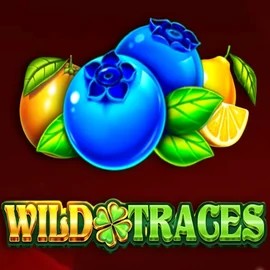 Wild Traces online game logo by Amusnet Interactive on rollflame.eu.com